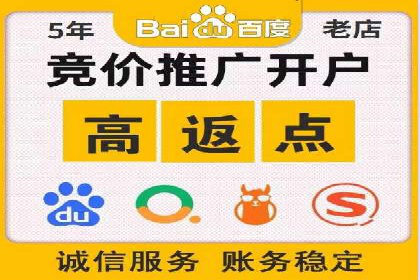 金融行业SEM服务的创新应用与效果